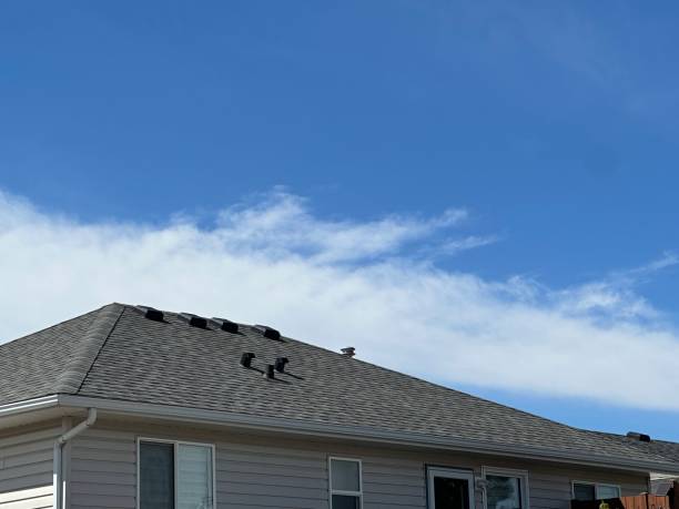 Best Rubber Roofing (EPDM, TPO)  in Buena Park, CA